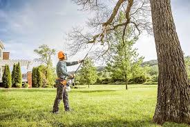 Best Tree Health Inspection  in Oskaloosa, KS